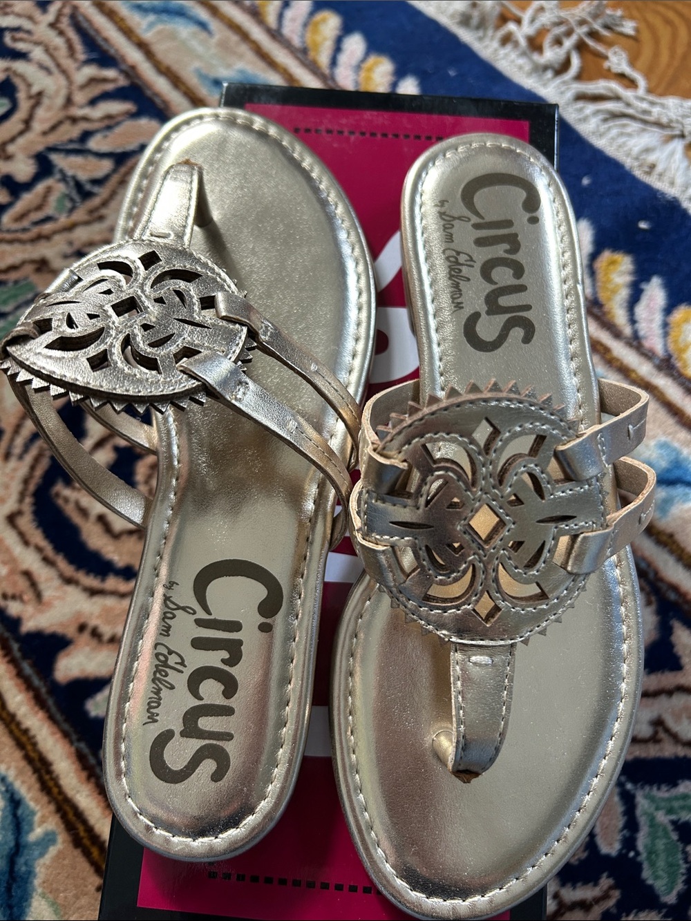 Circus by Sam Edelman Metallic Gold Canyon Sandals